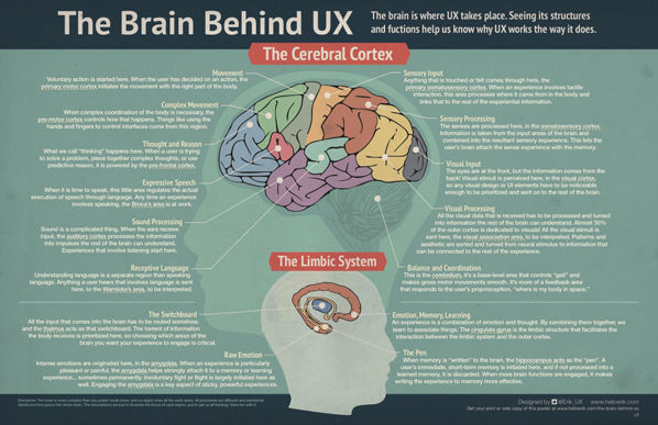 2-brain-ux-infographic